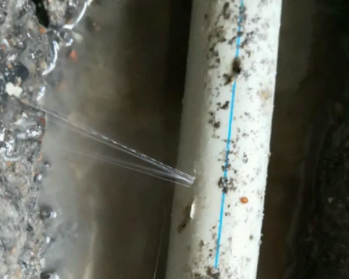新荣卫生间测漏水多少钱